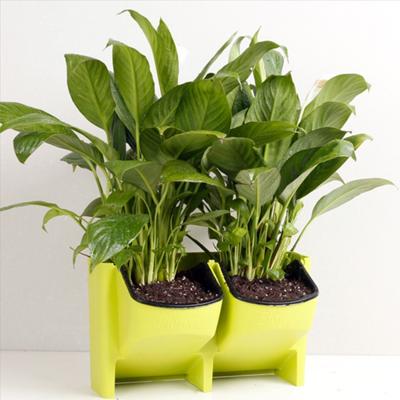 PP Planter Flower Pot muur Hanging Garden opknoping stapelbare tuin levert (groen)