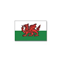 Vlag Wales - wit/groen/rood - polyester - 90x150 cm - landen vlag Vlag Wales - wit/groen/rood - polyester - 90x150 cm - landen vlag