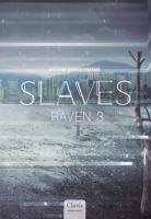 Raven 3 (Hardback)