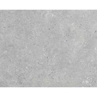 Leen Bakker - Vinyl Oxley - PVC - Grijs - B200 Cm
