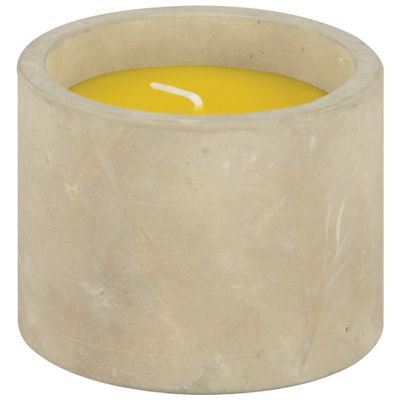 Geurkaars citronella - in betonnen houder - 10 branduren - citrus