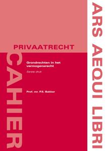 Grondrechten in het vermogensrecht (Paperback)