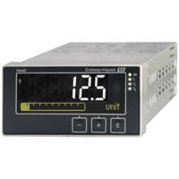 Endress+Hauser RIA45-A1A1 RIA45 Display 1 stuk(s)