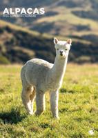 Alpaca A3 Kalender 2026 Alpaca A3 Kalender 2026
