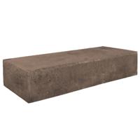 Traptrede Massief Taupe 100 x 37 x 15 cm - Gardenlux
