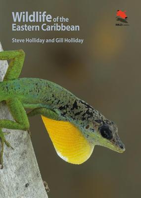 Natuurgids Wildlife of the Eastern Caribbean | Princeton University Press
