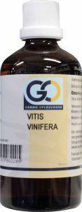 GO Vitis vinifera bio
