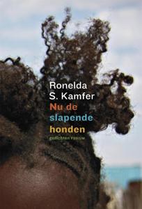 Nu de slapende honden (Paperback)