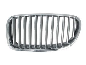 Radiateurgrille 6502070067995P