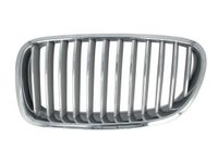 Radiateurgrille 6502070067995P