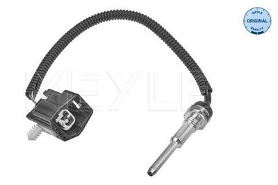 Temperatuursensor 7148210003