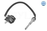 Temperatuursensor 7148210003