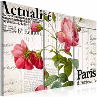 Schilderij - Parijs met bloemen, 3 luik, Beige/Groen/Rood, 3 maten, Premium print