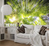 Zen ruimte fotobehang bomen met bamboe