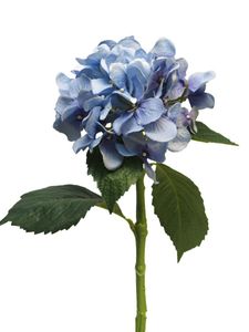 Hortensia Artist blauw 48cm