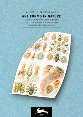 Art Forms in Nature (Paperback)