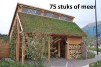 Minimaal 75 stuks! Sedummixmat T Compleet (incl. drainage type 11c & daktuinsubstraat) per 1.2 m2 max. 45 graden - Sempergreen