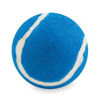 Blauwe hondenbal 6,4 cm - thumbnail