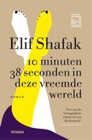 10 minuten 38 seconden in deze vreemde wereld - Elif Shafak - ebook