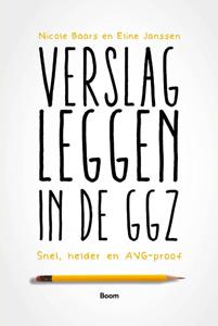 Verslagleggen in de ggz (Paperback)