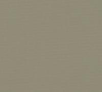 AS Creation Retro Chic - Groen - Effen - 390975