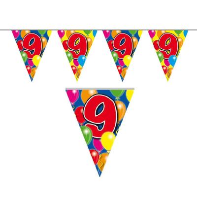 9 jaar Leeftijd versiering vlaggenlijn - vlaggetjes - verjaardag - 10 meter - plastic