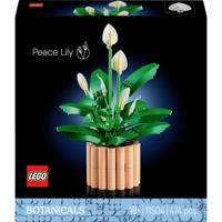 LEGO® ICONS™ 11504