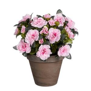 Mica Decorations Azalea Kunstplant - H31 x Ø26 cm - Roze