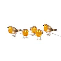 LED Lichtsnoer 5 vogels, herfstkleuren - Konstsmide