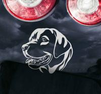 Rottweiler hond autosticker - thumbnail