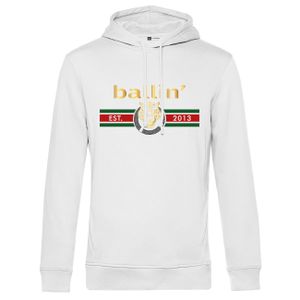 Tiger Lines Hoodie