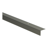 Hoeklijnprofiel schroef 20 mm RVS - 300 cm