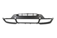 Bumper 5510000096901P