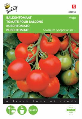 Tomaten Maja Balkontomaat - Buzzy
