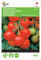 Tomaten Maja Balkontomaat - Buzzy