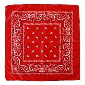 Carnaval verkleed boeren zakdoek - 5x - rood - 53 x 53 cm - themafeest - boerenlente feest