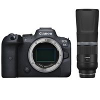 Canon EOS R6 body + RF 800mm F/11.0 IS STM