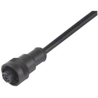 binder 79-0232-20-04 Ronde connector Stekker, recht Totaal aantal polen: 3 + PE Serie (ronde connectors): 692 1 stuk(s)