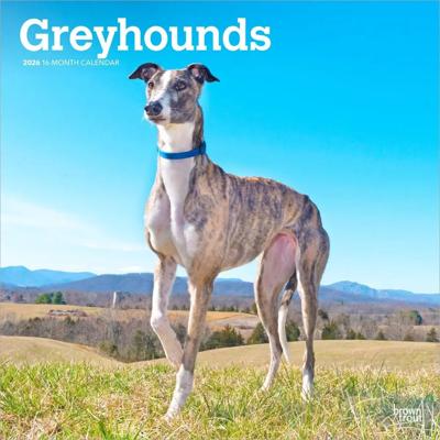 Greyhound Kalender 2026