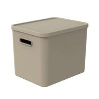 Rotho ALBULA Multibox 29.5x29x37 cm 27L Cappuccino