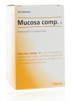 Mucosa compositum H