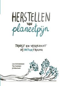 Herstellen van planeetpijn (Hardback)
