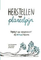 Herstellen van planeetpijn (Hardback)