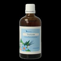 Balancepharma Eleutherococcus tincturen 100 Milliliter