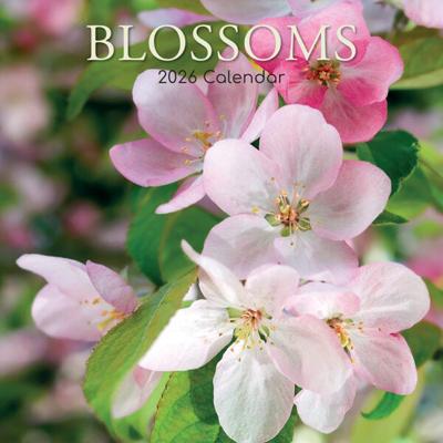 Bloesem Kalender 2026