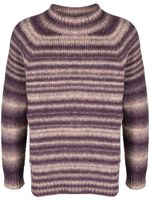 Lardini pull en maille intarsia - Violet