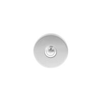 Intersteel beldrukker - 53 mm rond - verdekt - RVS geborsteld - thumbnail