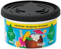Wunder-Baum Wb tropical fragrance box air fresher Wunder-Baum Wb tropical fragrance box air fresher