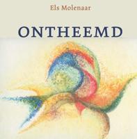 Ontheemd (Hardback)