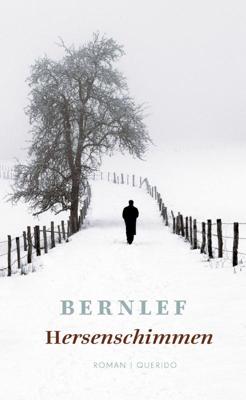 Hersenschimmen (Paperback)